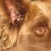 Susan Bourbeau - Facebook