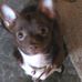 Susan Bourg - Facebook