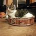 Sue Bourke - Facebook