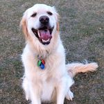 Susan  Bourke - @bourke163 - Instagram