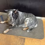 Susan Bourke - @susan.bourke.507 - Instagram