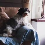 patricia susan bourne - @patriciasusanbourne - Instagram
