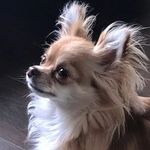 Susan Bourne - @sbourne1959 - Instagram