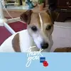 Susan Bourne - @susanbourne0 - TikTok
