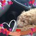 Susan Bowker - Facebook