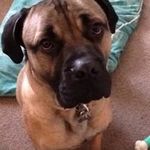 Andrea Susan Bowler - @bhzasb - Instagram