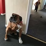 Susan Bowles - @rubysusieb44 - Instagram