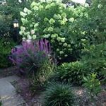 Susan Bowles - @bowles2851 - Instagram