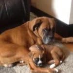 Susan Bowles - @susieb44 - Instagram