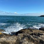 susan bowley - @suebowley02 - Instagram
