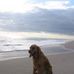 M Susan Bowron - Facebook