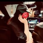 @susan__boxer - Instagram