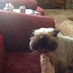 Susan Boyko - @susanboykotx - Instagram