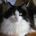 Susan Boyko - Facebook