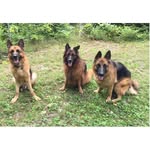 Susan Boylan - @spb19099 - Instagram