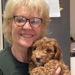 Susan Boylan - Smith - @boylansusan - Instagram