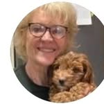 Susan Boylan Smith - @boylansusan_ - Instagram