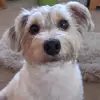 Susan Braid - @susan.braid - TikTok