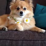Susan Braida - @susanbraida - Instagram
