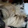 susanbrakefieldja - @susanbrakefieldja - TikTok