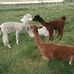 Susan Branton - Facebook