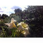 Susan Brasel - @susanbrasel - Instagram
