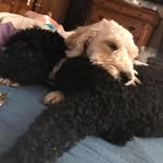 Susan Hayes-Brauner - @susanhayesbrauner_ - Instagram