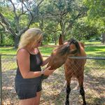 Susan Breed - @sbreedrn - Instagram