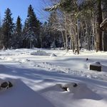 Susan Bricker Kempthorne - @kempthornesusan - Instagram