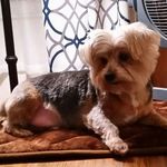 Susan Burke-Bricker - @burkebricker - Instagram