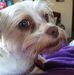 Sue Bridgewater - Facebook