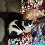 Susan Brittingham - @brittingham.susan - Instagram