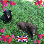 Susan Broad - @broad637 - Instagram