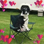 Susan Broad - @susan.broad.14 - Instagram