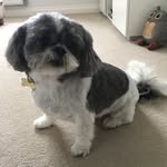 Susan Broad - @broad0000 - Instagram