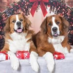 Susan Broad - @susan.broad - Instagram