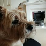 Susan Broadbent - @susan.broadbent.12 - Instagram