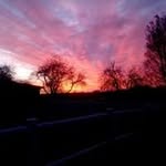 Susan Brodersen - @brodersensusan - Instagram