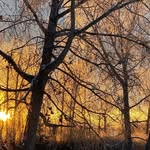 Susan Brodersen - @brodersen.s - Instagram