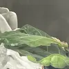 Susanne - @susanne.brodersen - TikTok