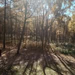 Susan Bronson-Keil - @bronsonkeil - Instagram