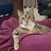 Susan Brook - @susan.brook1 - TikTok
