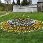 Susanne Brosche - Facebook