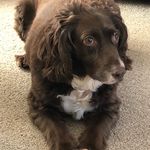 Susan Brougham - @susan.brougham1 - Instagram