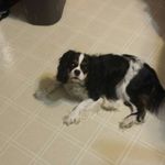 Susan Brownell - @susanbrownell - Instagram
