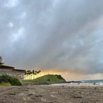 Susan Brownell Anthony - @susanbrownellanthony22 - Instagram