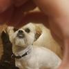 Susan Troyer Broyles - @susan.troyer.broy - TikTok
