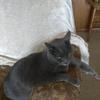 susanbroyles57 - @susanbroyles57 - TikTok