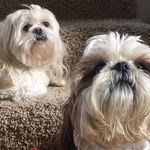 Susan Brubaker - @susan.brubaker22 - Instagram