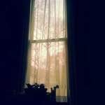 Susan Brubaker - @suebbru - Instagram